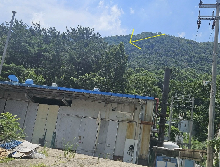 대구광역시 달성군 논공읍 노이리 산229 임야 경매 사진 6