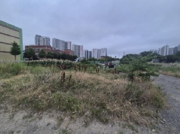 경상북도 포항시 남구 오천읍 구정리 486 외 17필지 전 경매 사진 12