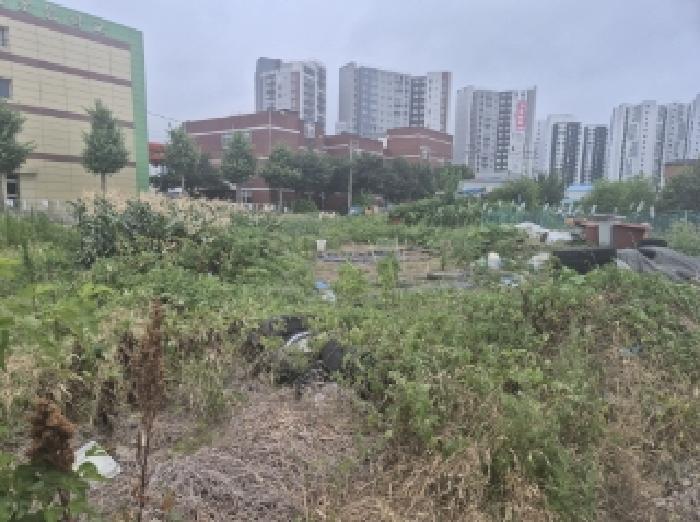 경상북도 포항시 남구 오천읍 구정리 486 외 17필지 전 경매 사진 13