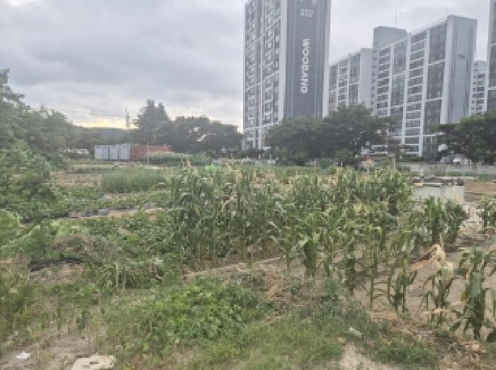 경상북도 포항시 남구 오천읍 구정리 486 외 17필지 전 경매 사진 5