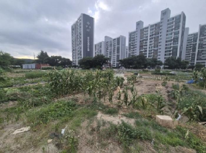 경상북도 포항시 남구 오천읍 구정리 486 외 17필지 전 경매 사진 6