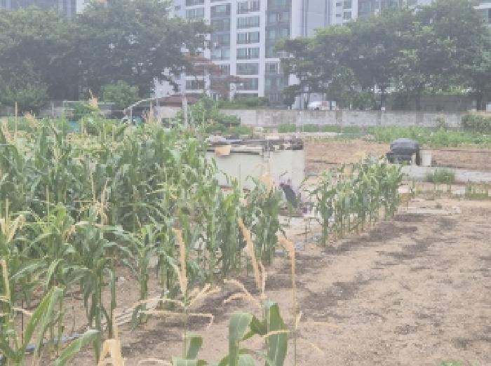 경상북도 포항시 남구 오천읍 구정리 486 외 17필지 전 경매 사진 8