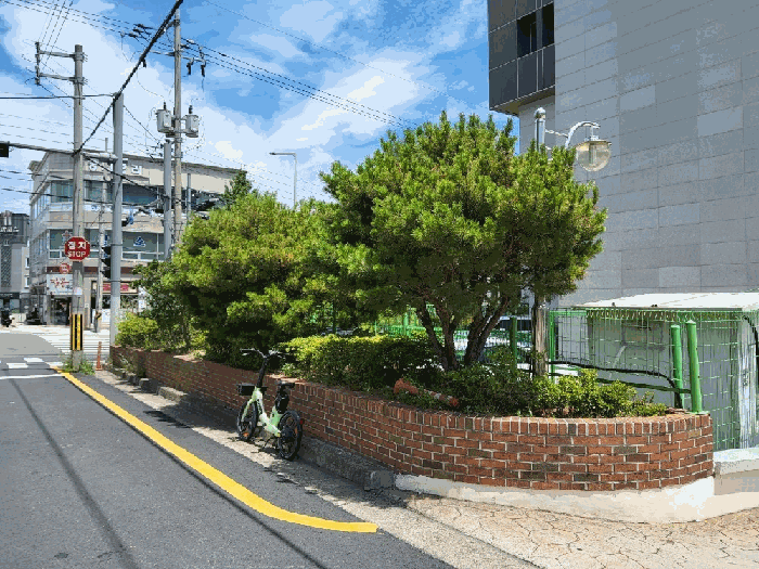 경상북도 포항시 북구 장성동 1526-1 외 3필지 의료시설 경매 사진 11