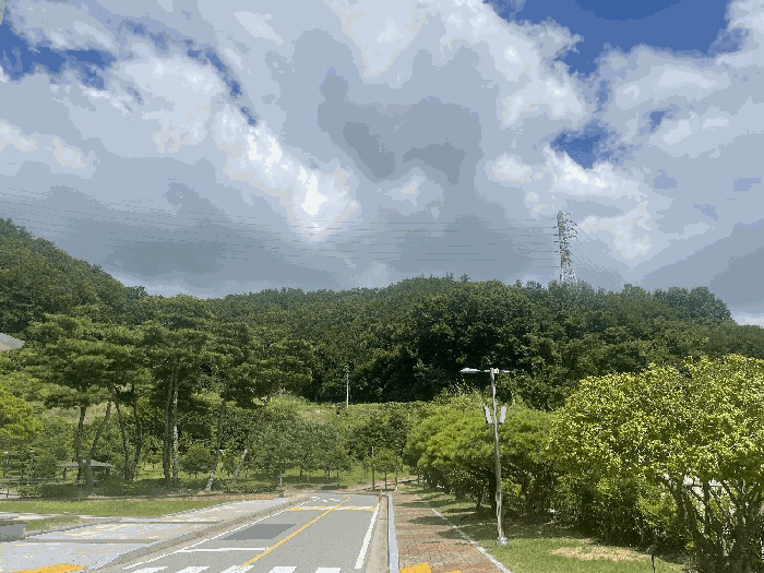 전라남도 무안군 삼향읍 남악리 288-10 임야 경매 사진 2