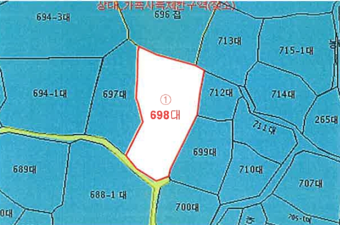 전라남도 강진군 군동면 용소리 698 대지 경매 사진 18