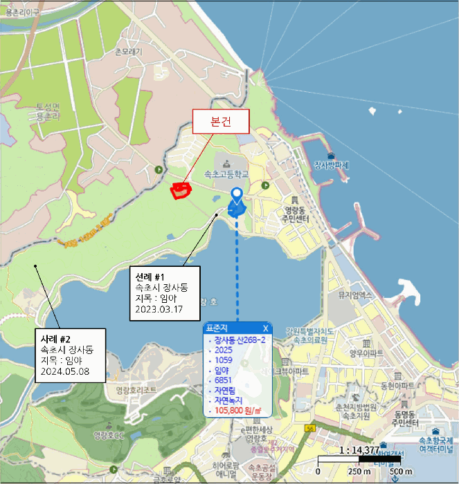강원특별자치도 속초시 장사동 산281 외 1필지 임야 경매 사진 5