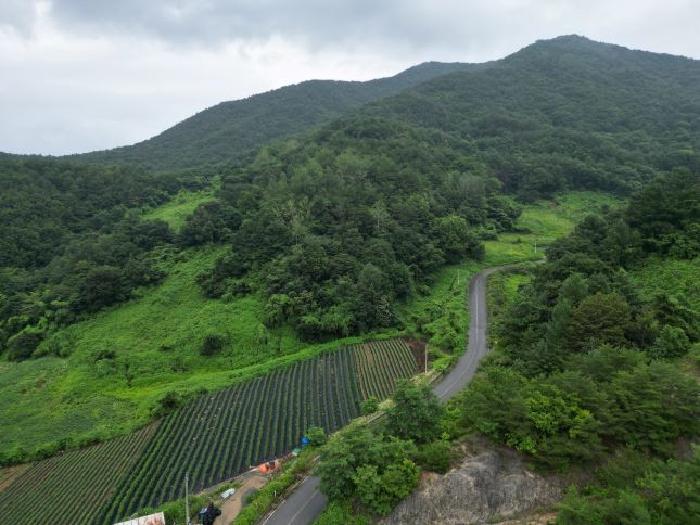 충청북도 제천시 덕산면 도기리 산54 임야 경매 사진 19
