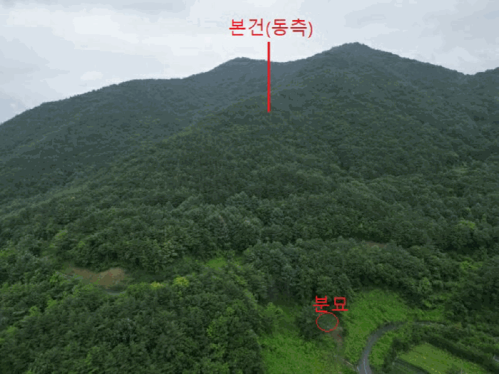 충청북도 제천시 덕산면 도기리 산54 임야 경매 사진 29