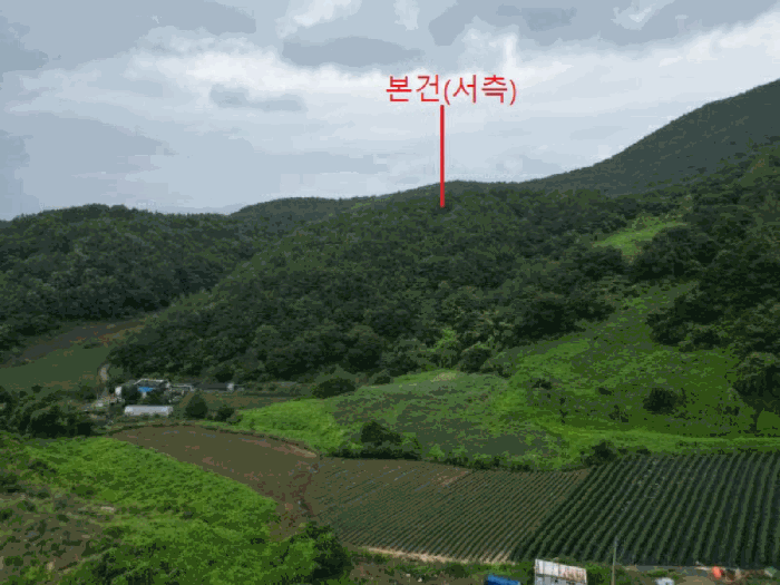 충청북도 제천시 덕산면 도기리 산54 임야 경매 사진 30