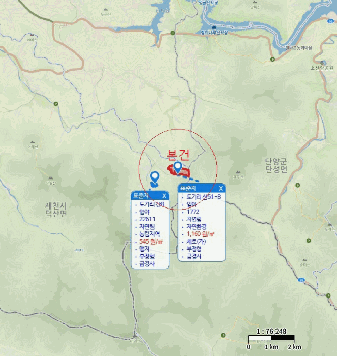 충청북도 제천시 덕산면 도기리 산54 임야 경매 사진 32