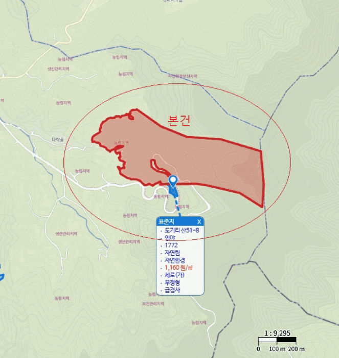 충청북도 제천시 덕산면 도기리 산54 임야 경매 사진 33
