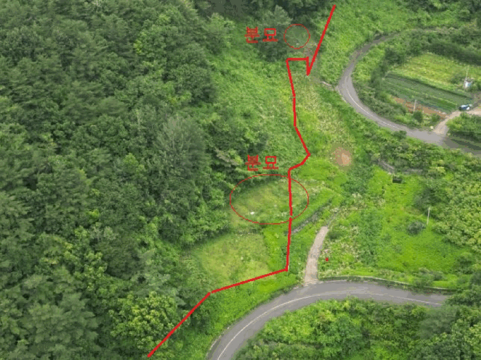 충청북도 제천시 덕산면 도기리 산54 임야 경매 사진 21