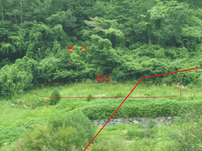 충청북도 제천시 덕산면 도기리 산54 임야 경매 사진 22