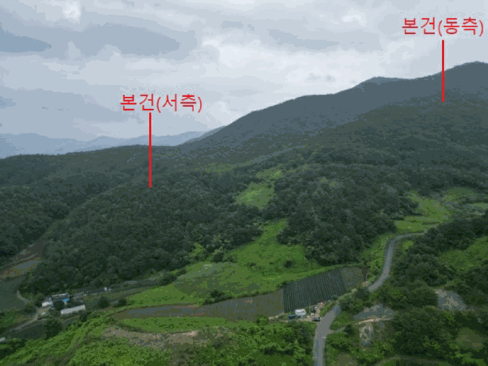 충청북도 제천시 덕산면 도기리 산54 임야 경매 사진 23