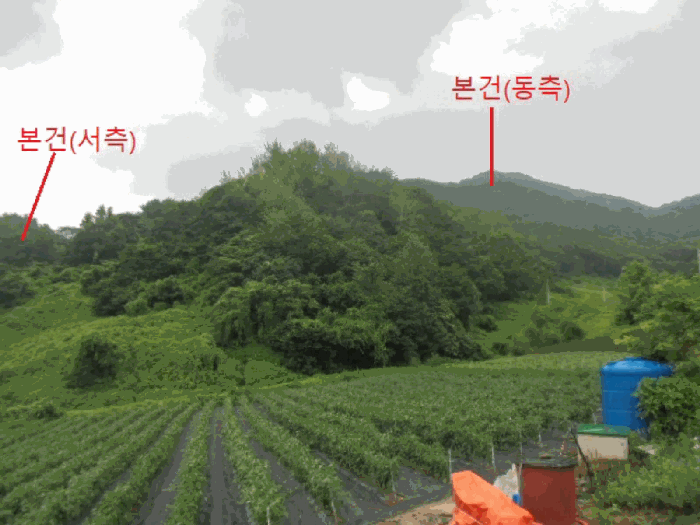 충청북도 제천시 덕산면 도기리 산54 임야 경매 사진 24
