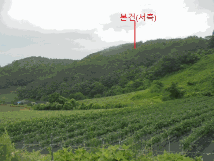 충청북도 제천시 덕산면 도기리 산54 임야 경매 사진 25