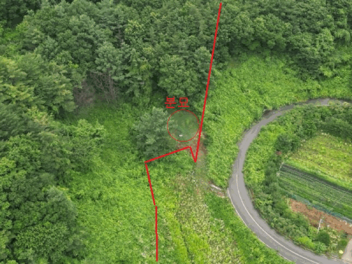 충청북도 제천시 덕산면 도기리 산54 임야 경매 사진 27
