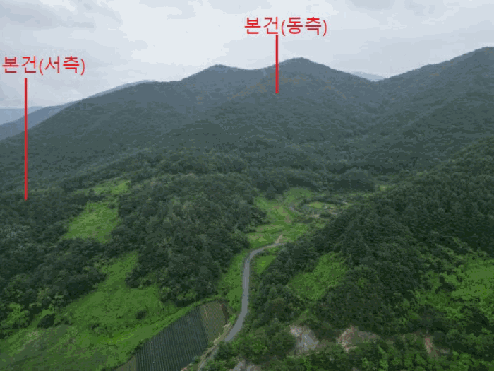 충청북도 제천시 덕산면 도기리 산54 임야 경매 사진 28