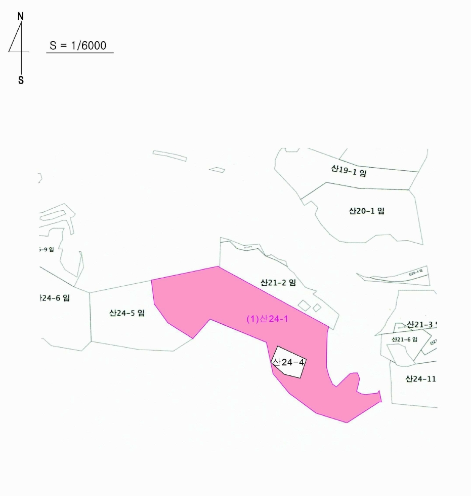 충청남도 부여군 부여읍 저석리 산24-1 임야 경매 사진 47