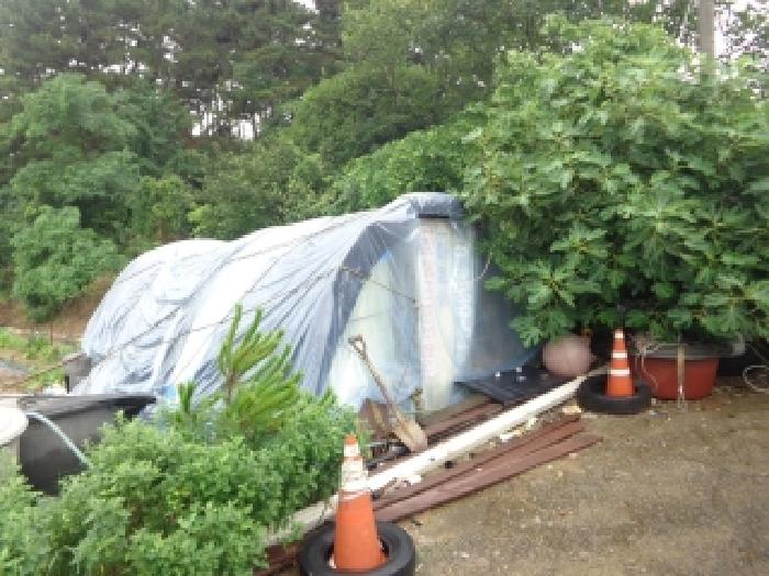 충청남도 태안군 고남면 고남리 645 외 3필지 전 경매 사진 22