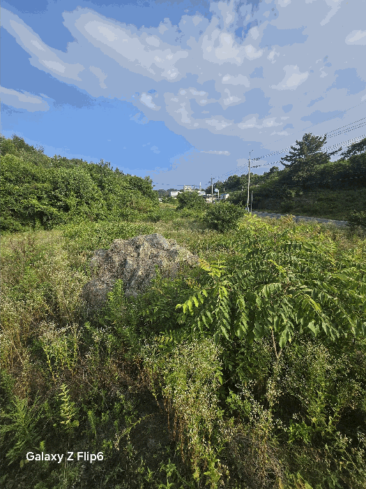 경상남도 함안군 칠서면 대치리 957-2 답 경매 사진 3