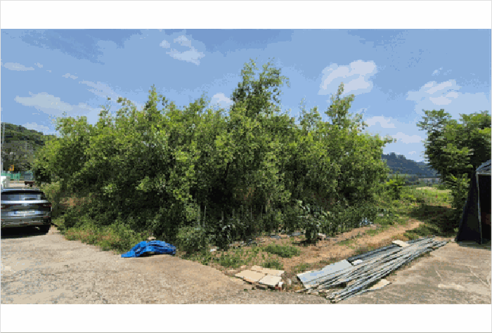 경상남도 진주시 문산읍 삼곡리 713-2 답 경매 사진 17