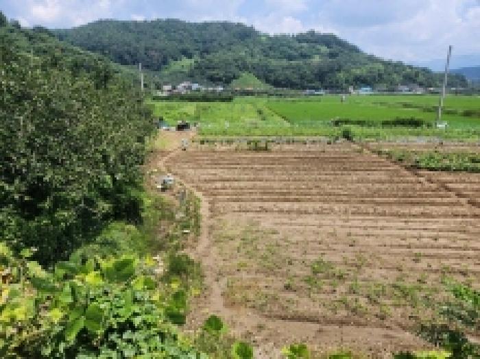 전라남도 광양시 진월면 신아리 210-1 외 1필지 답 경매 사진 1
