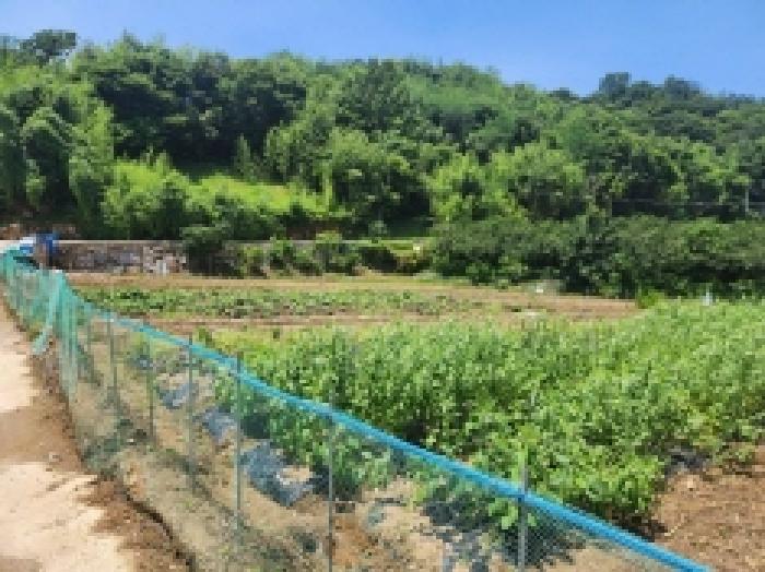 전라남도 광양시 진월면 신아리 210-1 외 1필지 답 경매 사진 6