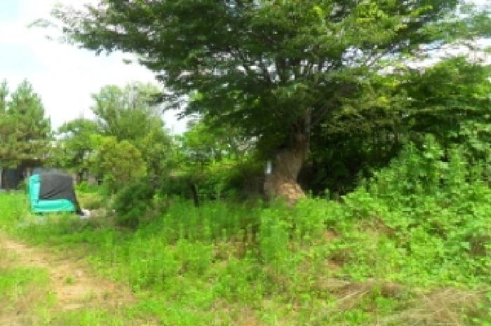 전북특별자치도 정읍시 소성면 등계리 300 전 경매 사진 12