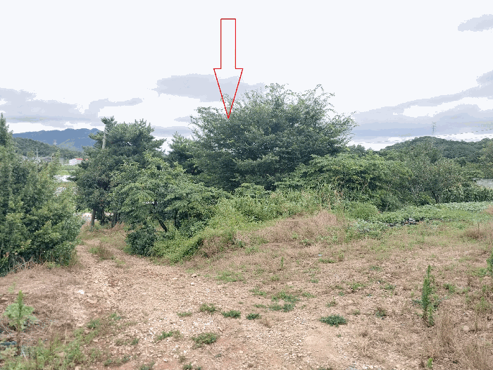 전북특별자치도 정읍시 소성면 등계리 300 전 경매 사진 15