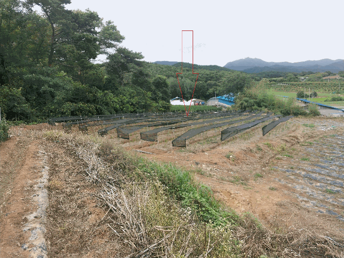 전북특별자치도 부안군 하서면 장신리 205-1 전 경매 사진 3