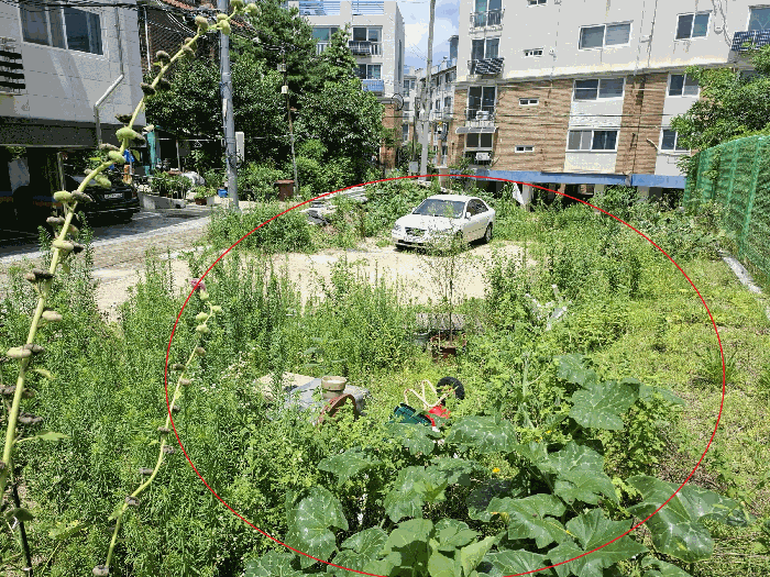 서울특별시 강북구 미아동 1367-1 외 4필지 대지 경매 사진 6