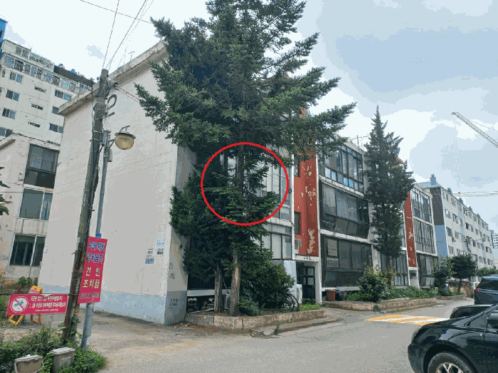 경기도 부천시 소사구 소사본동 55-8 삼신아파트 2동 2층 204호 아파트 경매 사진 7