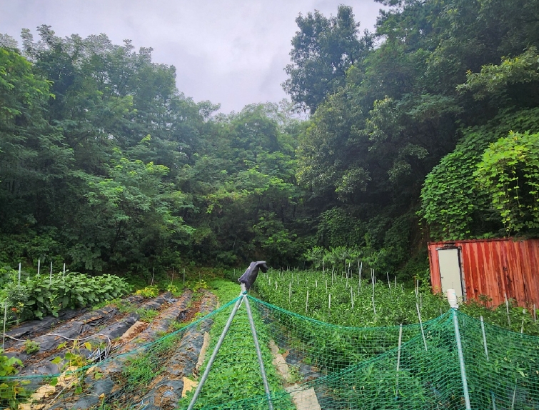 경기도 안성시 대덕면 건지리 359-1 외 3필지 답 경매 사진 3