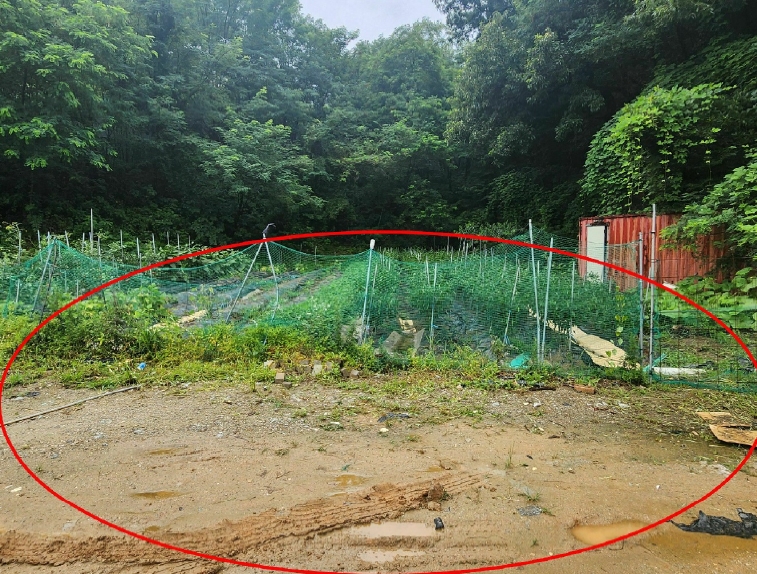 경기도 안성시 대덕면 건지리 359-1 외 3필지 답 경매 사진 4