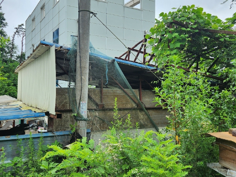 경기도 안성시 대덕면 건지리 359-1 외 3필지 답 경매 사진 6