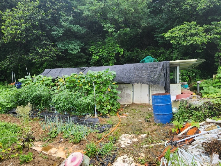 경기도 안성시 대덕면 건지리 359-1 외 3필지 답 경매 사진 7