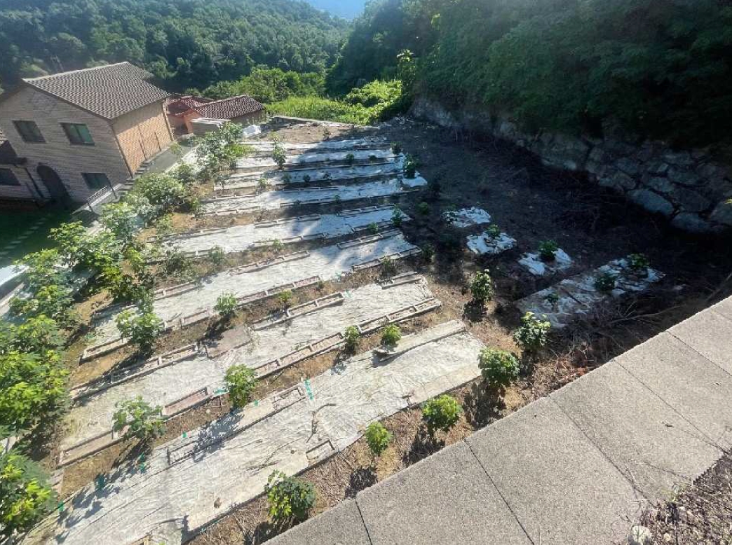 충청북도 진천군 이월면 사당리 산21-1 외 15필지 임야 경매 사진 5