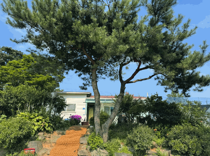 충청남도 예산군 신암면 오산리 560-1 외 1필지 대지 경매 사진 25