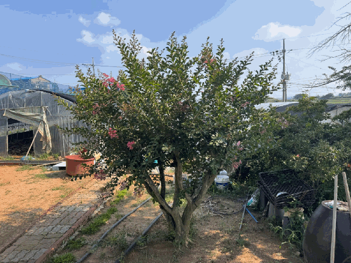 충청남도 예산군 신암면 오산리 560-1 외 1필지 대지 경매 사진 26
