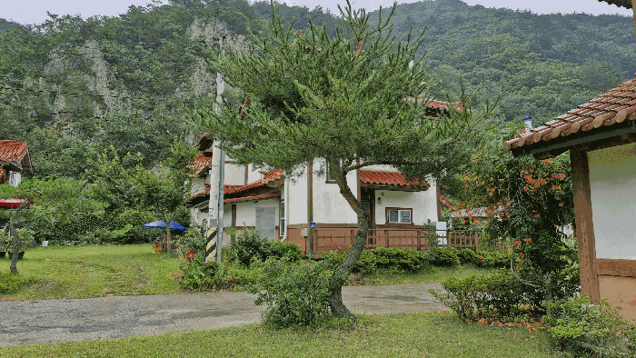 경상북도 경주시 산내면 대현리 786-2 외 3필지 단독주택 경매 사진 8