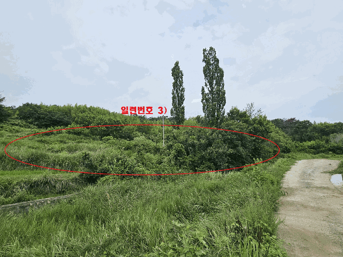 경상북도 경주시 천북면 성지리 566 외 2필지 답 경매 사진 3