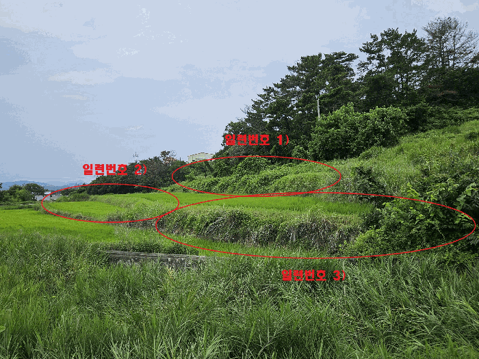 경상북도 경주시 천북면 성지리 566 외 2필지 답 경매 사진 4