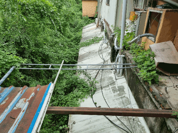 경상남도 창원시 의창구 북면 신촌리 1290-1 외 1필지 상가주택 경매 사진 10