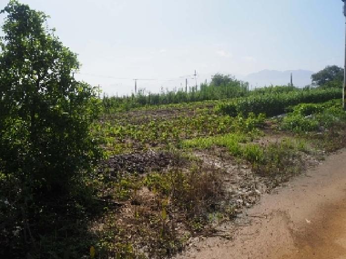 경상남도 밀양시 상남면 동산리 314-3 전 경매 사진 13