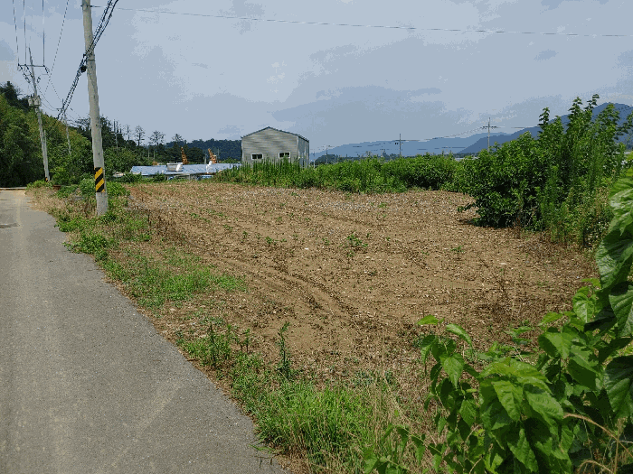 경상남도 밀양시 상남면 동산리 314-3 전 경매 사진 18