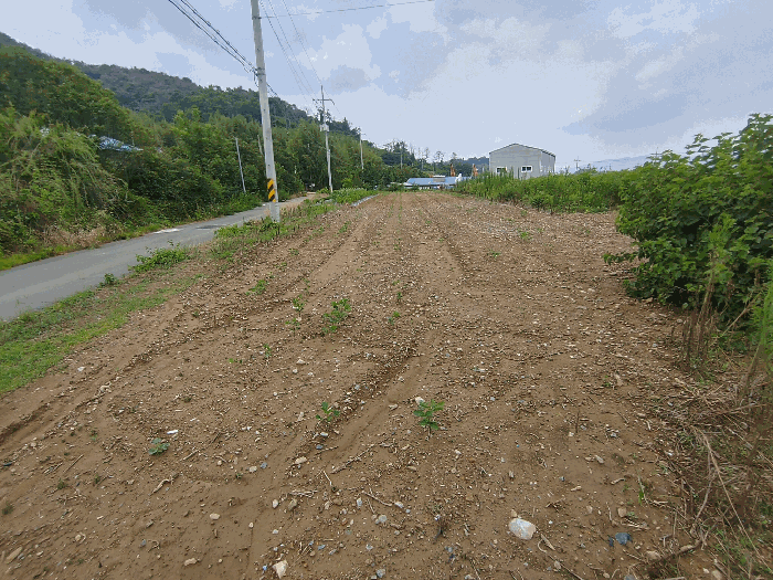 경상남도 밀양시 상남면 동산리 314-3 전 경매 사진 20