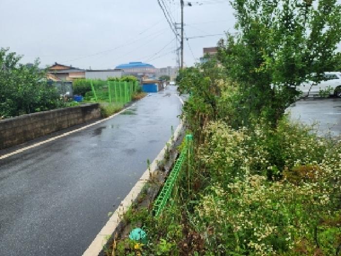전라남도 나주시 금천면 오강리 250-7 외 3필지 상가주택 경매 사진 8