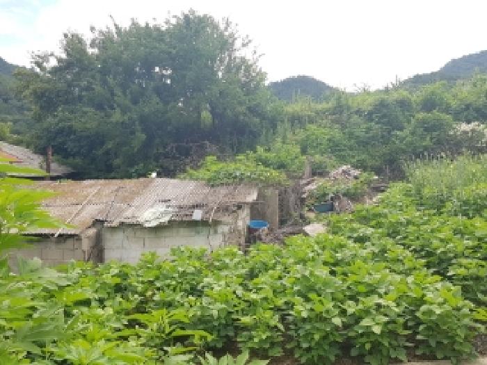강원특별자치도 인제군 남면 어론리 547 외 2필지 답 경매 사진 5