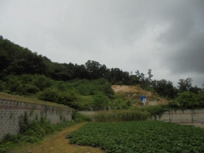 충청북도 청주시 서원구 남이면 문동리 21-6 외 28필지 도로 경매 사진 2